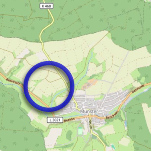 Flächennutzungsplanänderung „Solarpark Münster“