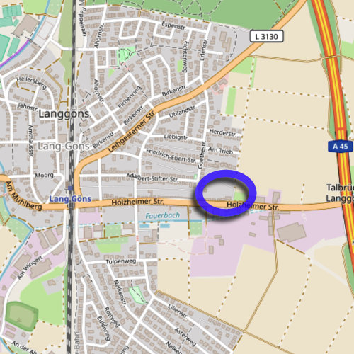 Vorhabenbezogener Bebauungsplan „Pflegezentrum nördlich der Holzheimer Straße“